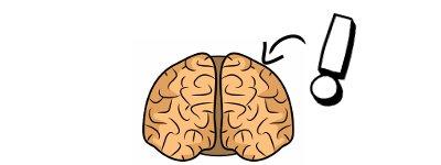 visual spatial Visual Spatial Brain