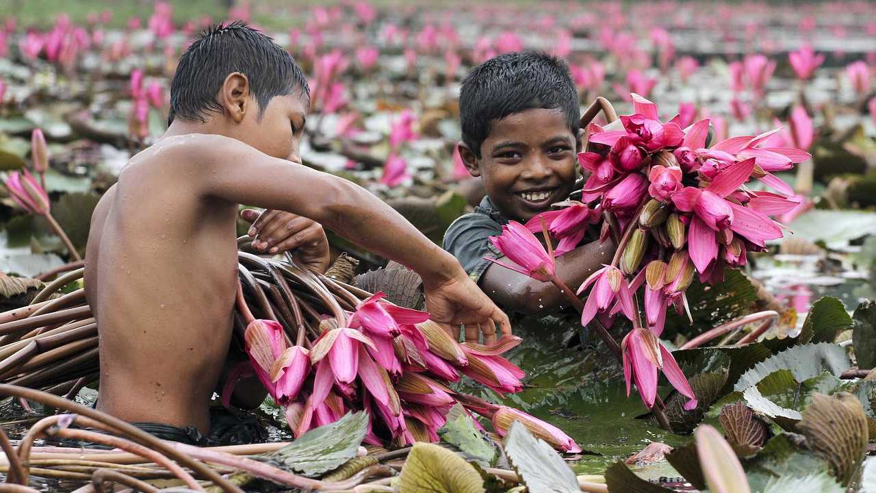 Where Is Bengali (Bangla) Spoken? It Isn't Just Bangladesh