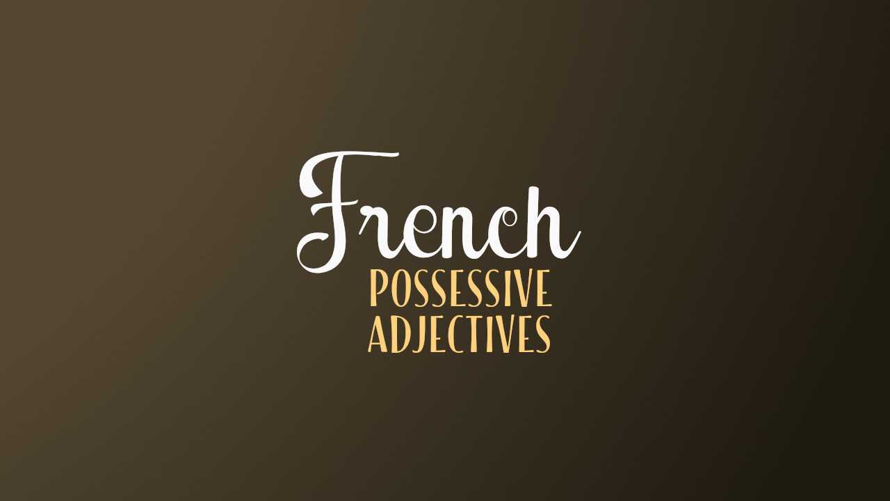 Possessive Adjectives In French Explained With Examples