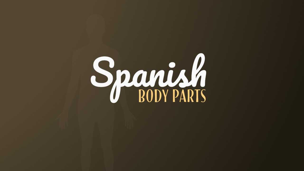 Spanish Body Parts List For Beginners (+ Grammar And Idioms)